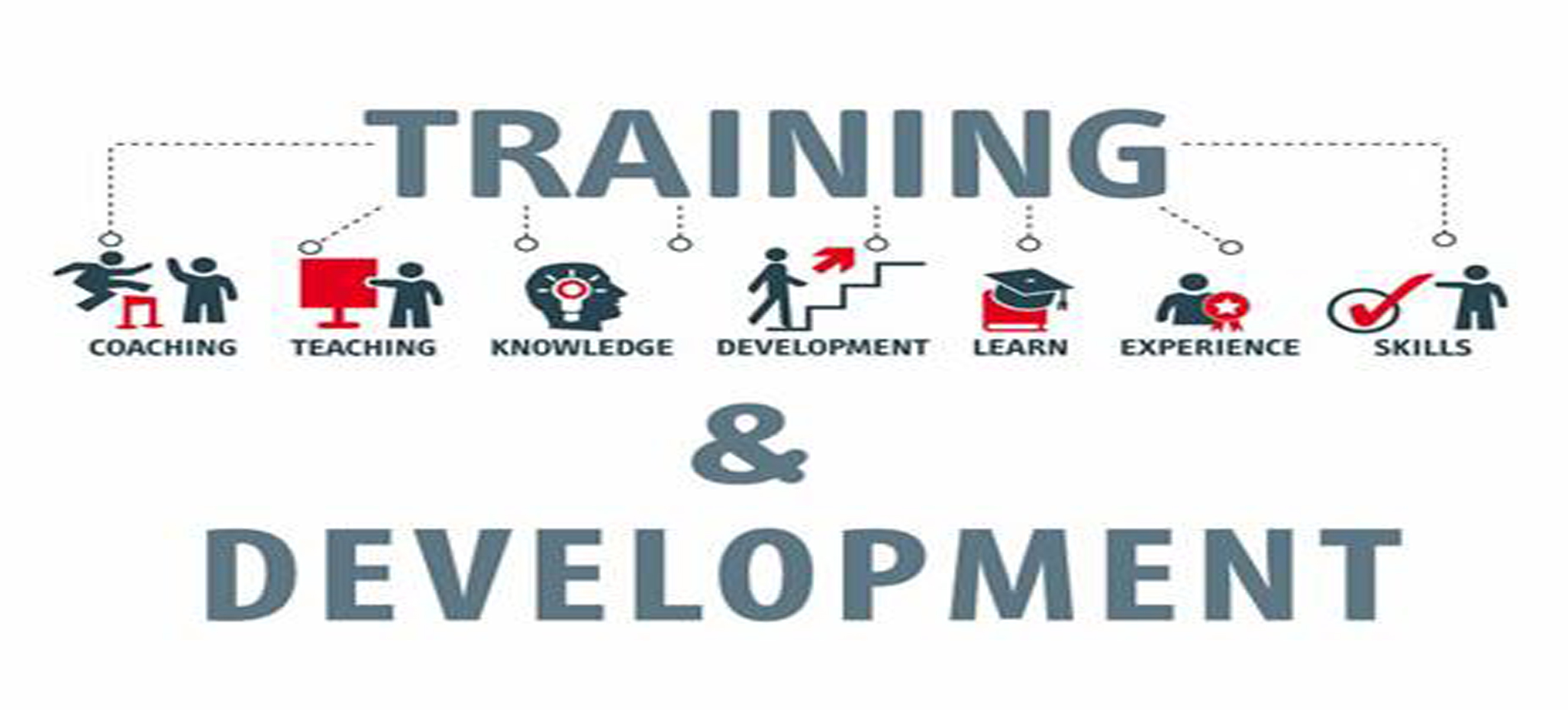 how-to-plan-training-and-development-program-optimally-hr-management-slides