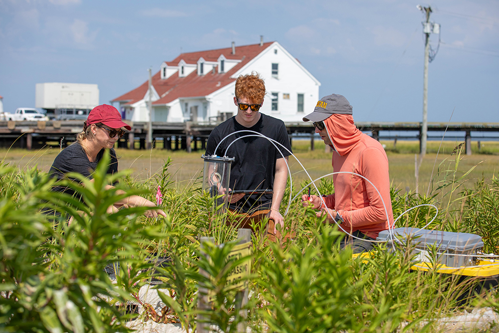 students doing research outside in farm