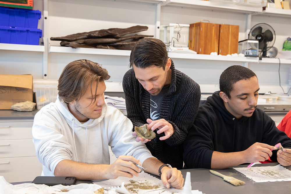 students working with fossils