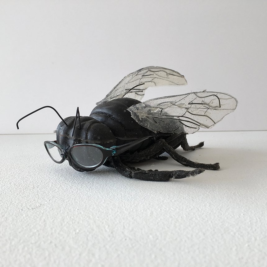 Self-portrait as a Fly with Glasses by Jeanne Silverthorne