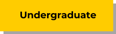 Undergraduate button