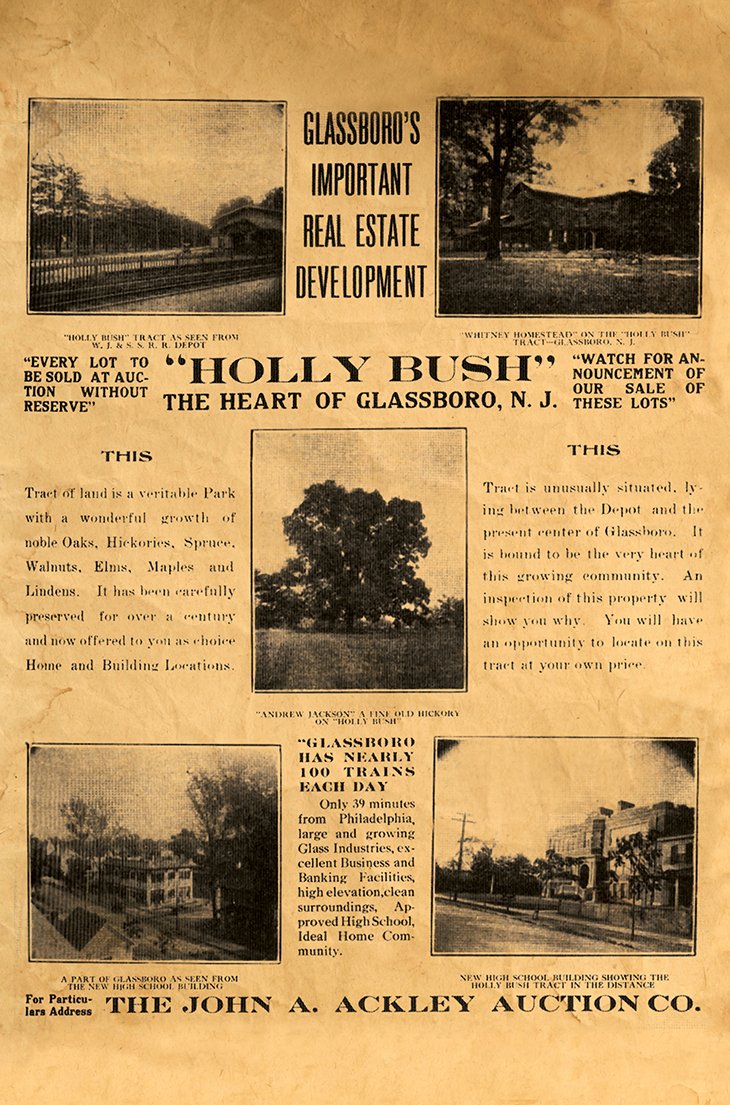 1917 poster hollybush john ackley auction