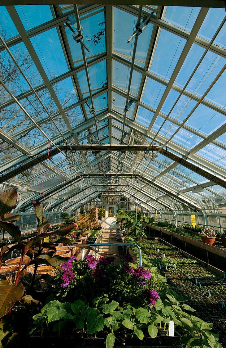 sangree greenhouse renovated