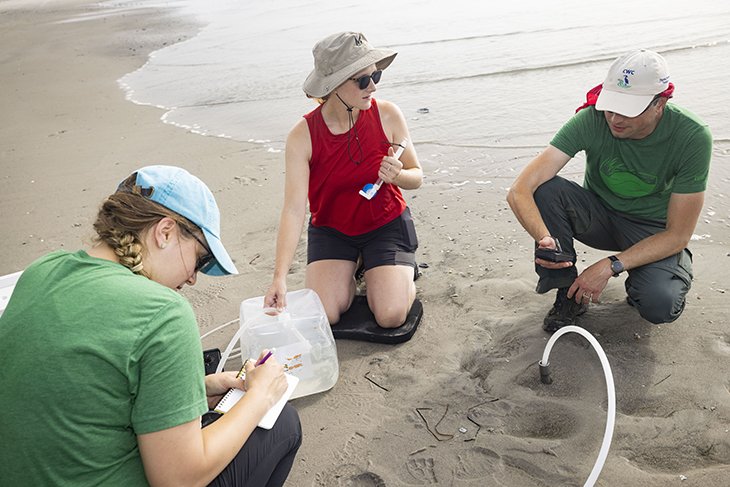 researchers at beach