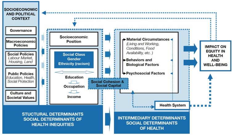 World Health Organization Conceptual Framework for Action on the Social Determinants of Health