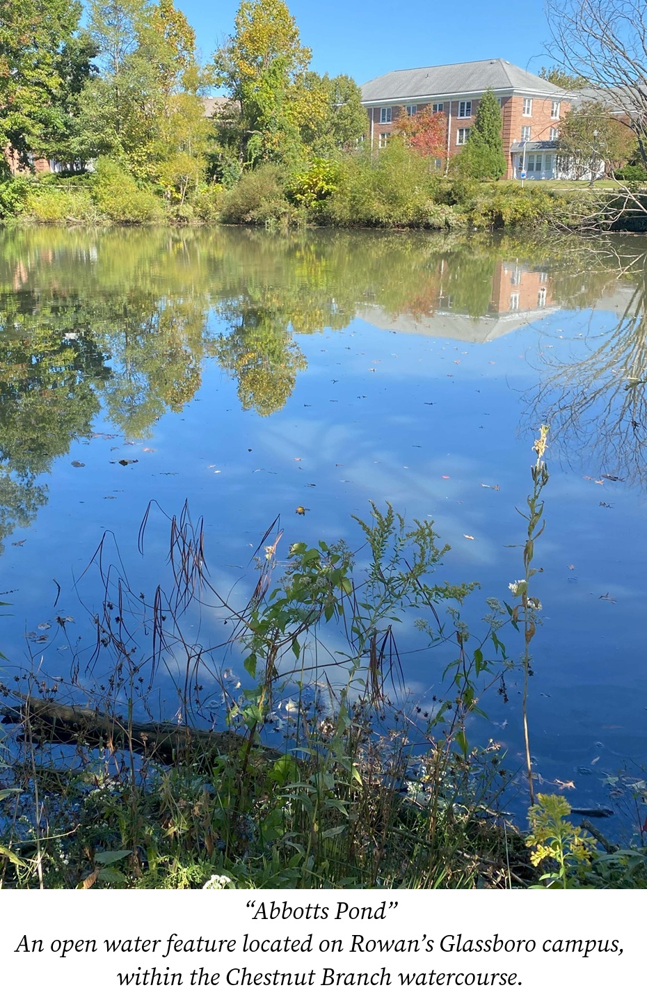  “Abbotts Pond” An open water feature located on Rowan’s Glassboro campus, within the Chestnut Branch watercourse.