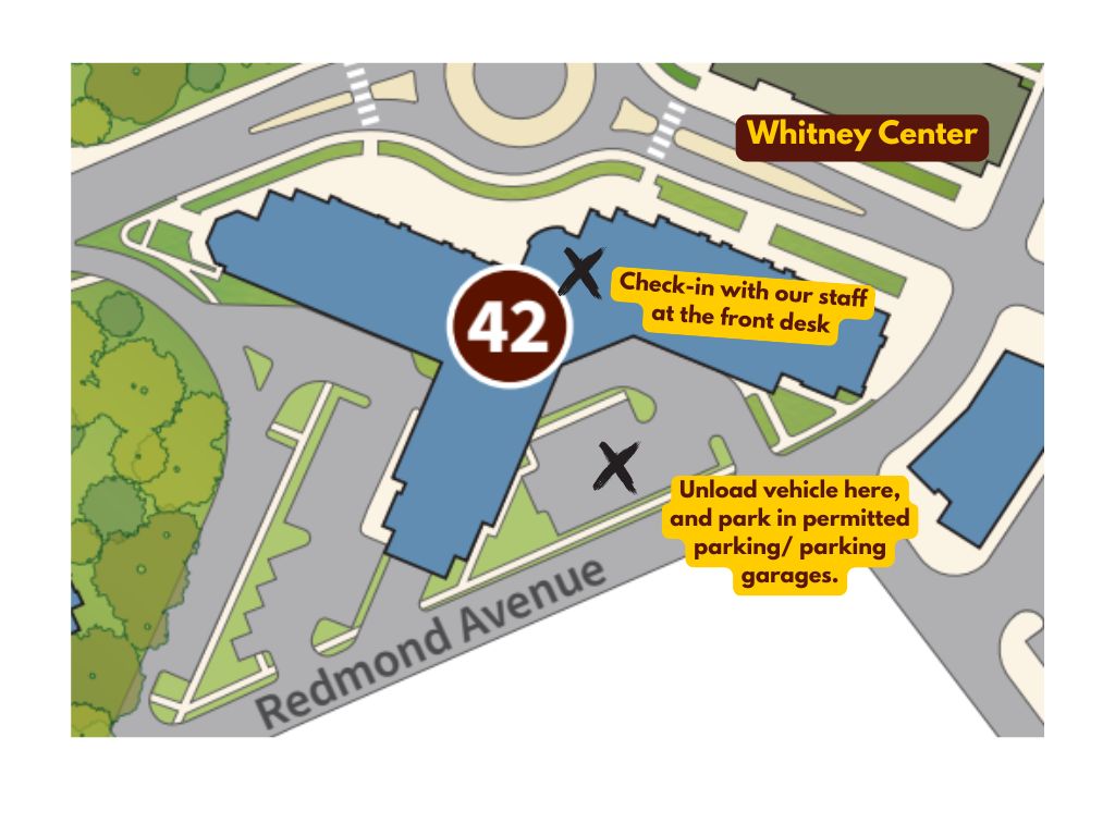 Whitney Map