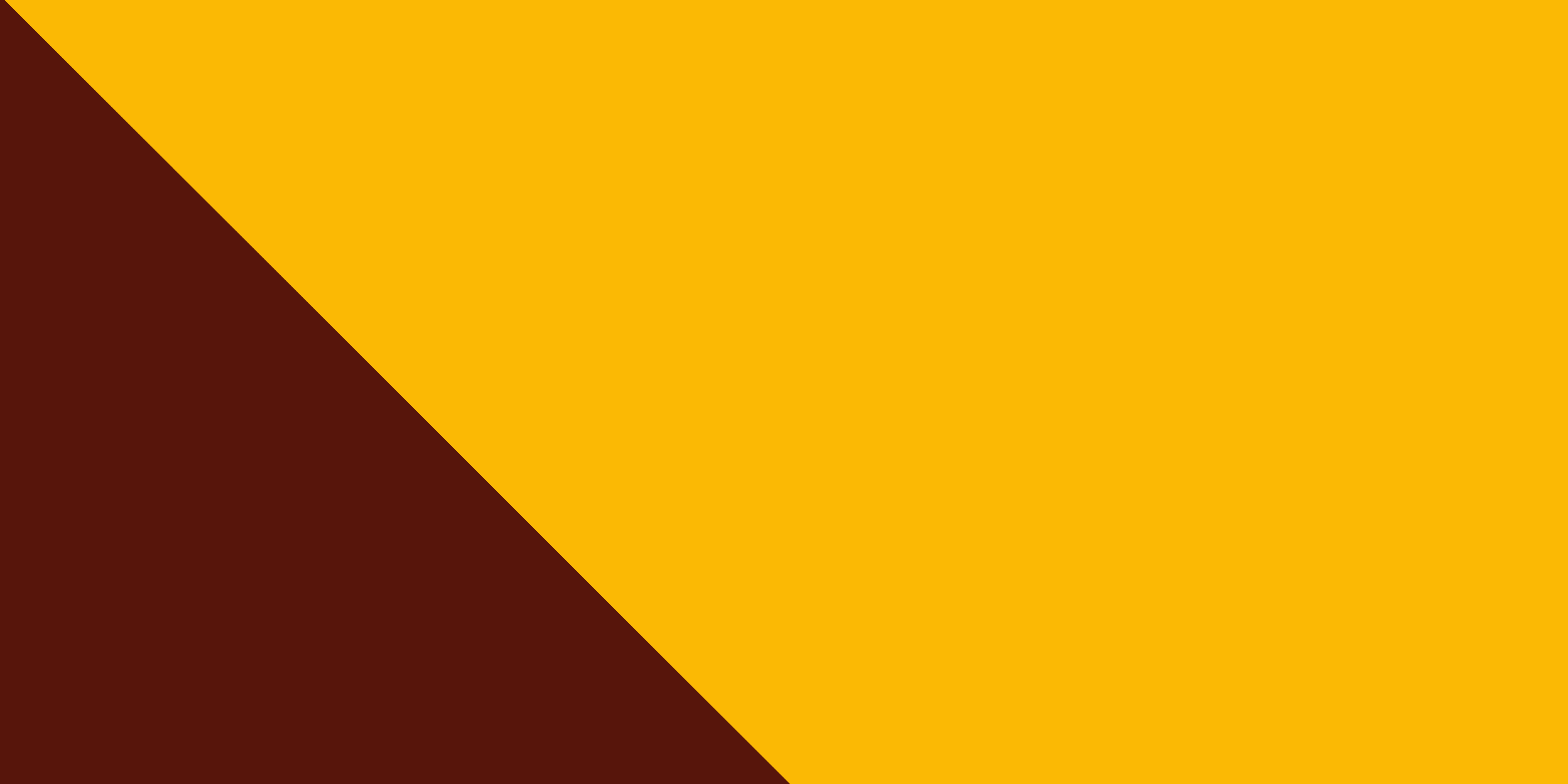 DEI hexagon banner in grey yellow and brown