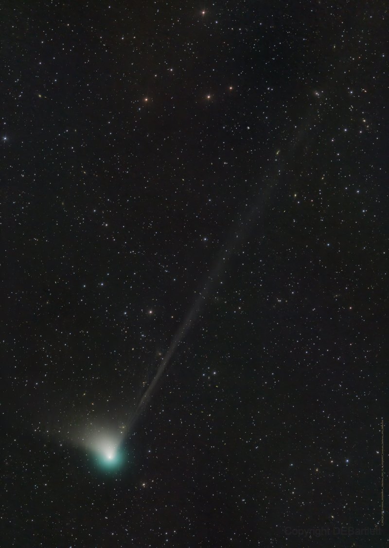 Comet C/2022 E3 ZTF as imaged by Dan Bartlett. It shows a long wispy tail and greenish coma.