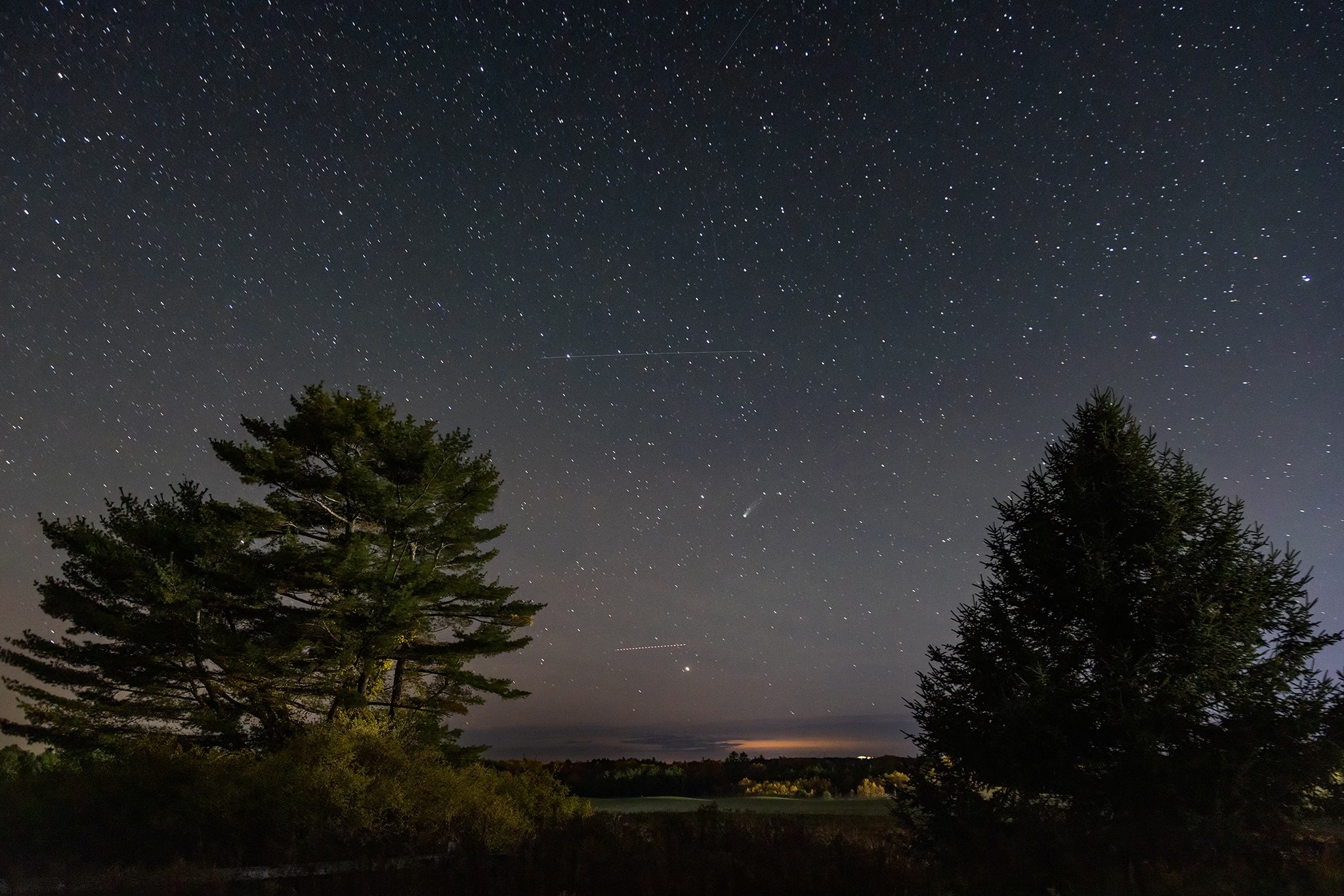 A starry sky reflected in a lake. Silhouettes of trees and a faint comet are visible. 