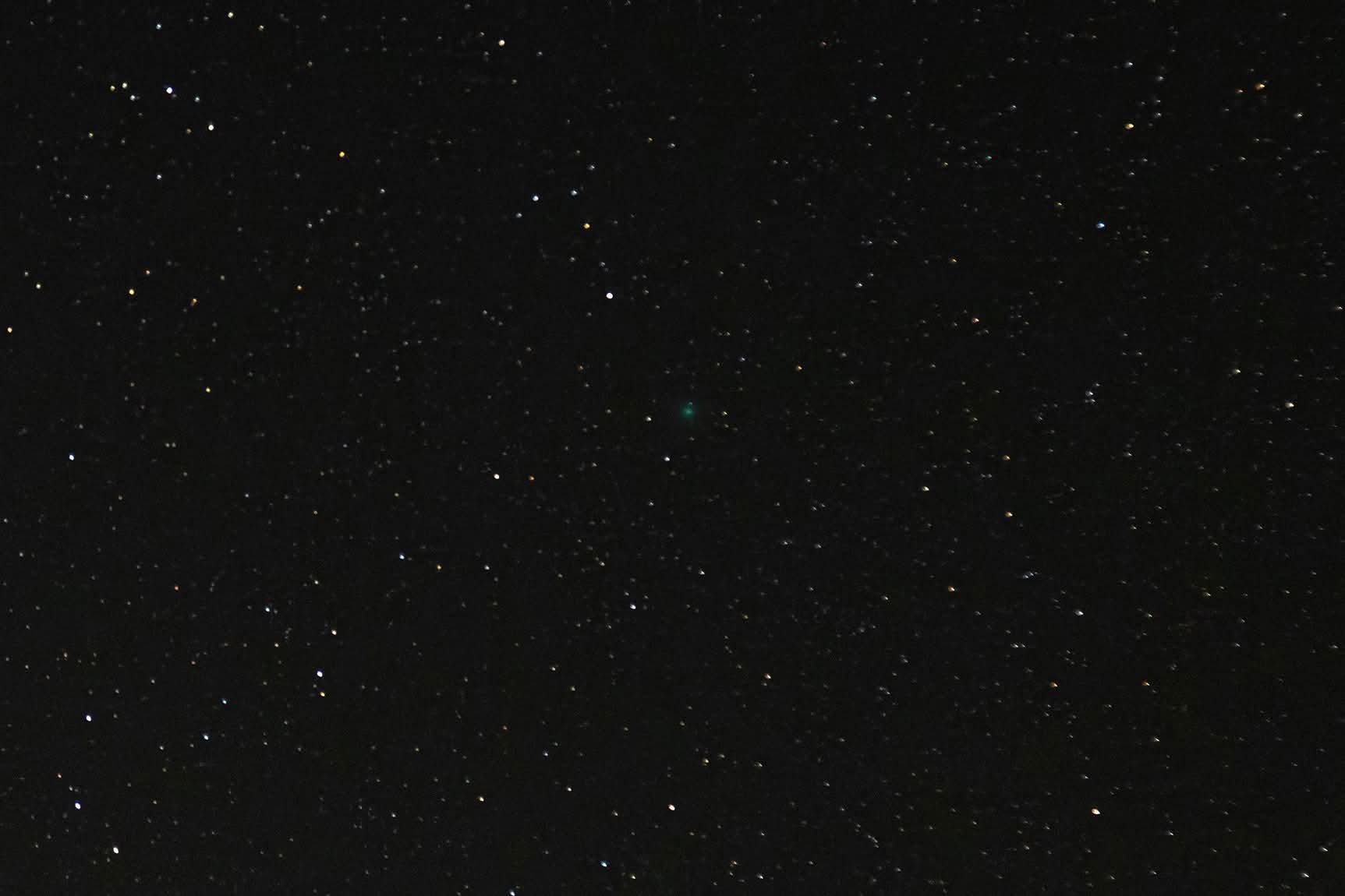 Comet SWAN appears as a fuzzy greenish 'star' in the center of a starry sky.