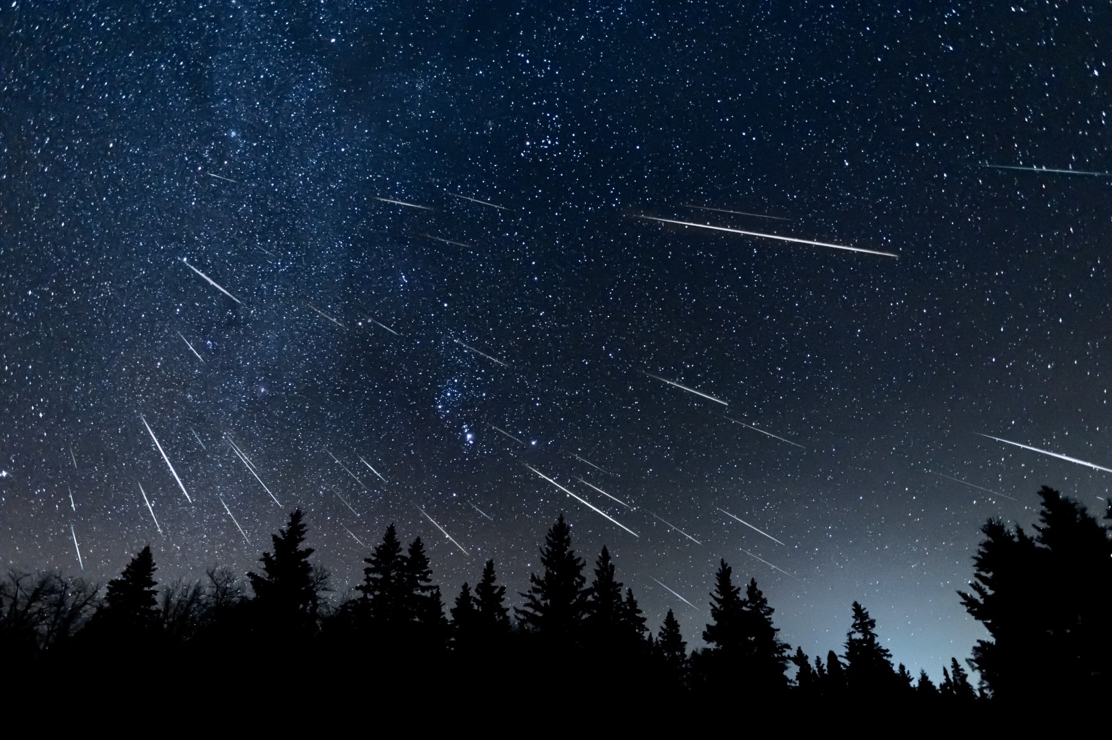 A starry sky with bright meteor streaks and silhouetted trees.