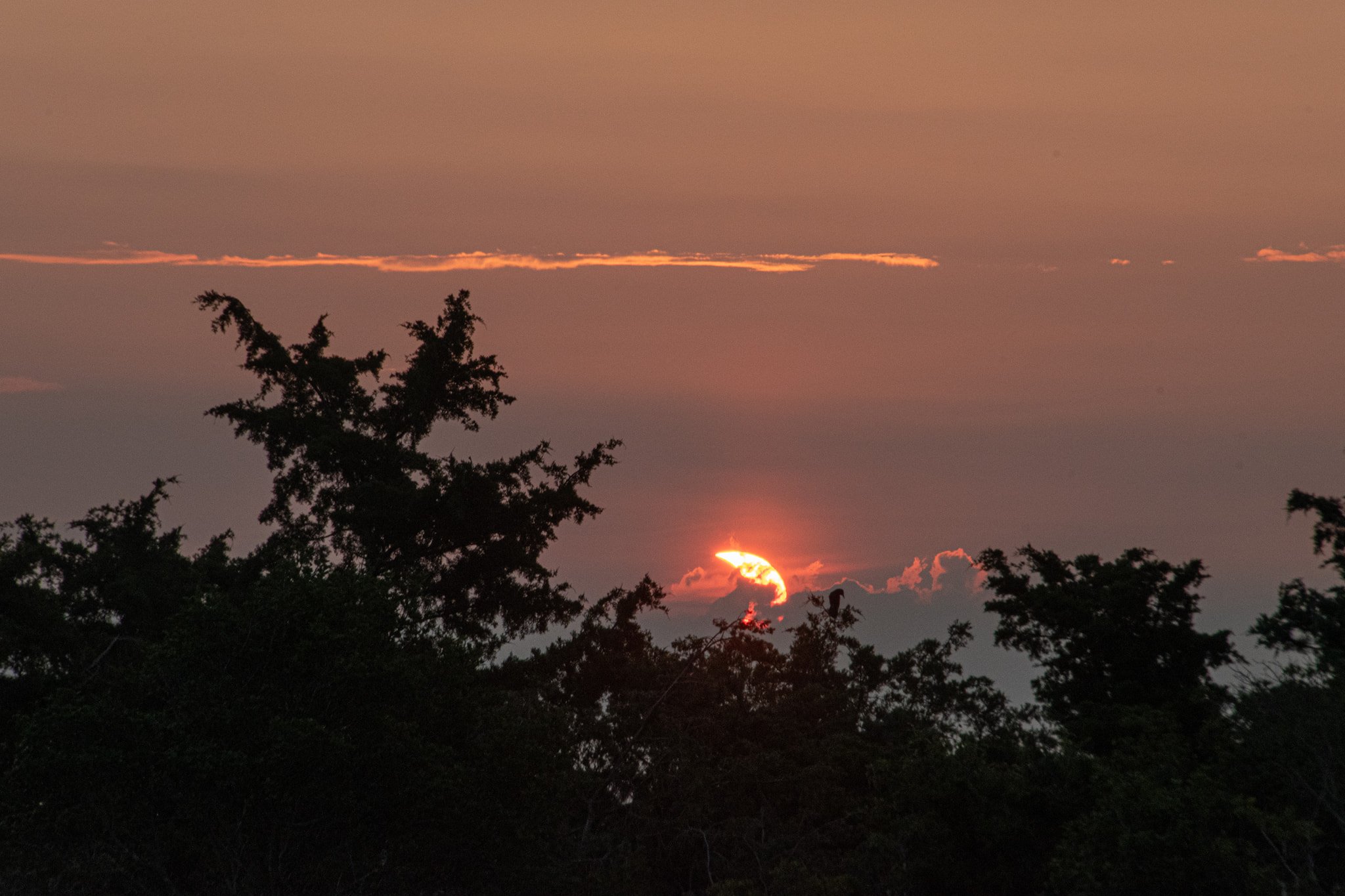 A partially eclipsed sun is visible behind clouds as it rises in the morning.