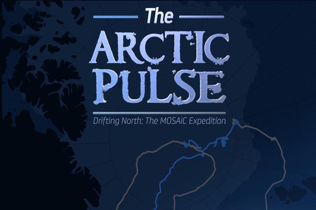 The Arctic Pulse logo