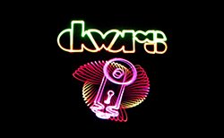Laser Doors logo