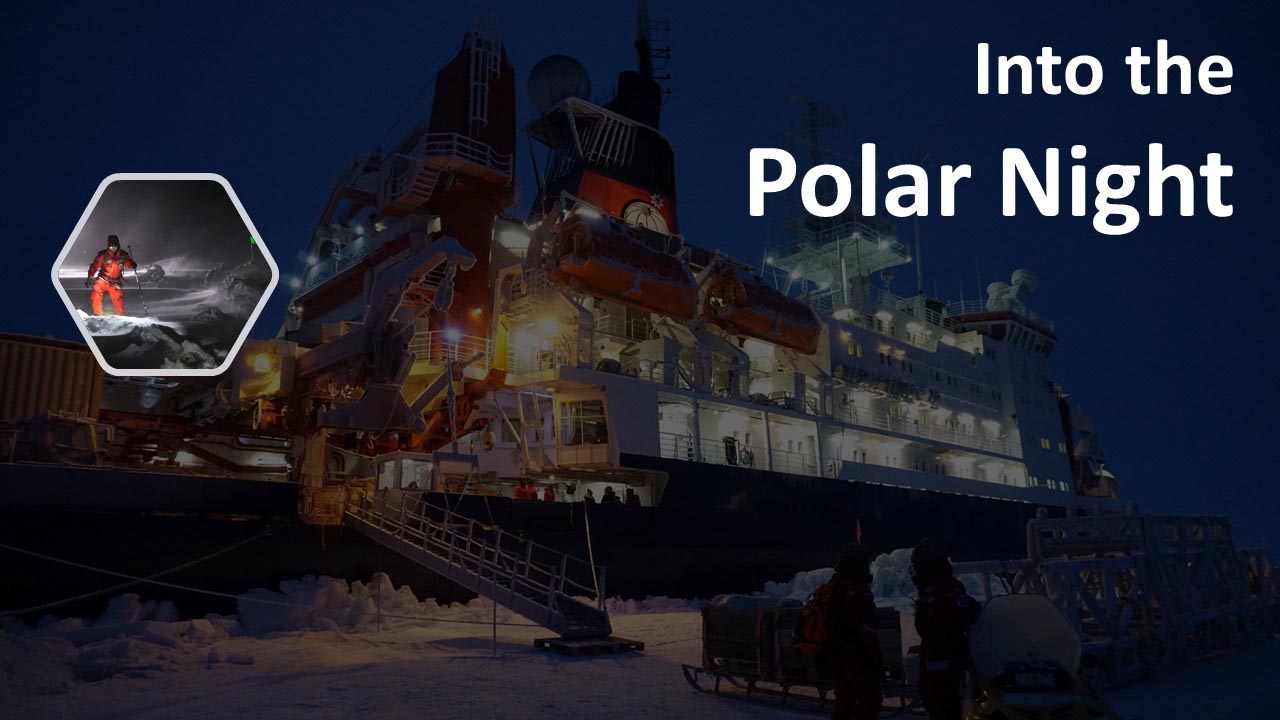 Into the Polar Night logo