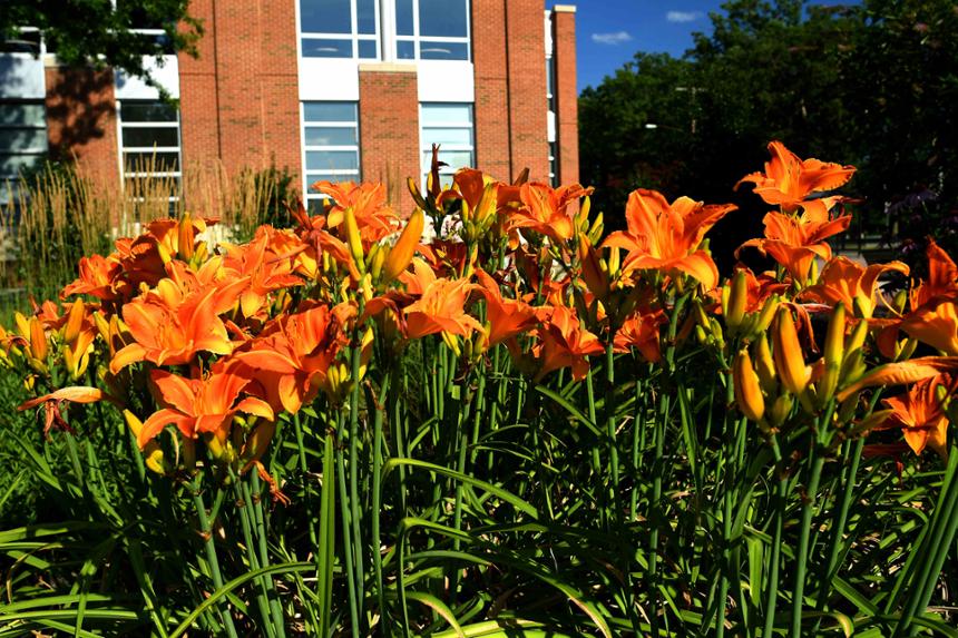 flowers in front of brick campus building