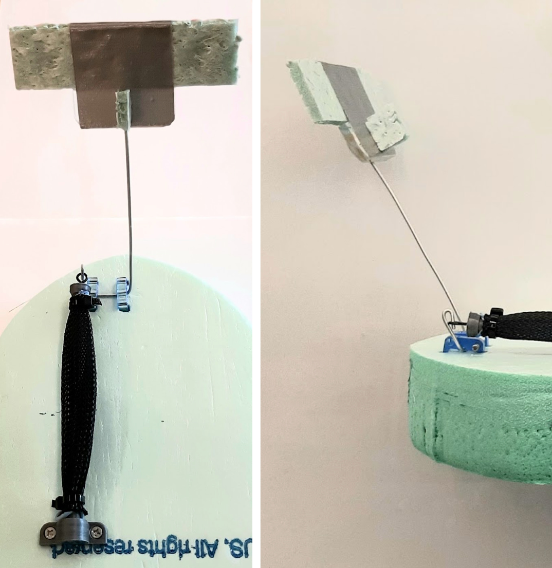 image of the muscle and paddle assembly