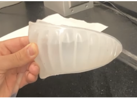 Image of the silicone fish body produced by the mold