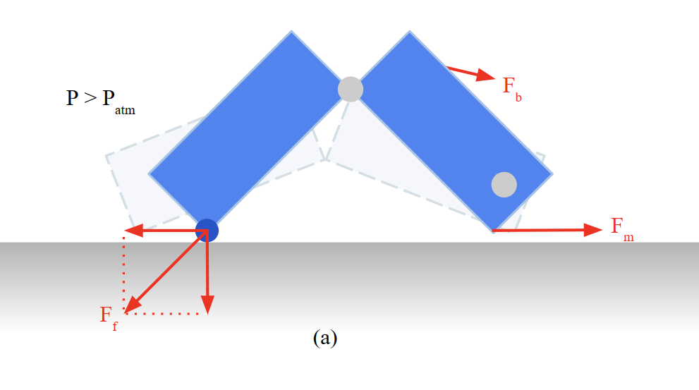 diagram of force involved in leg operation