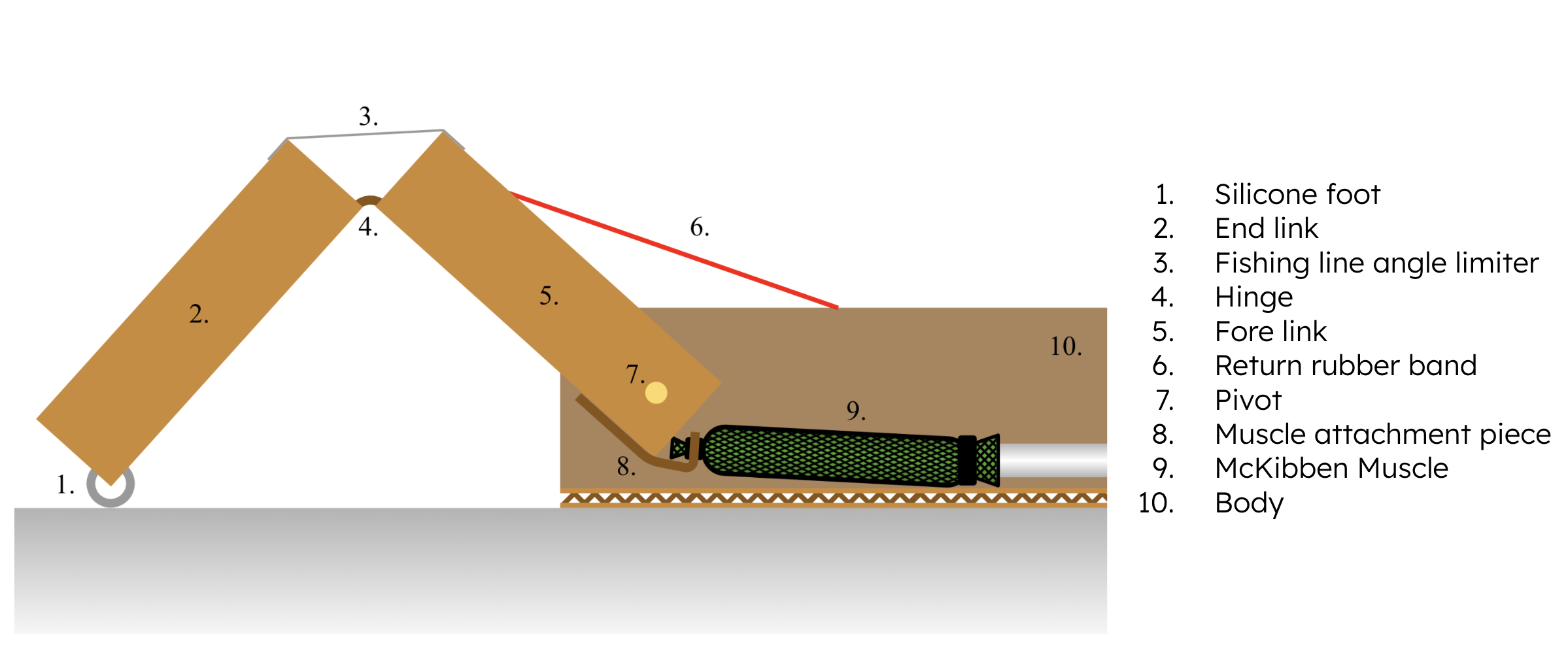 A diagram of a leg mechanism with numbered and labeled parts. The leg consists of 2 linkages and it attached to McKibben muscle that is attached to a base.