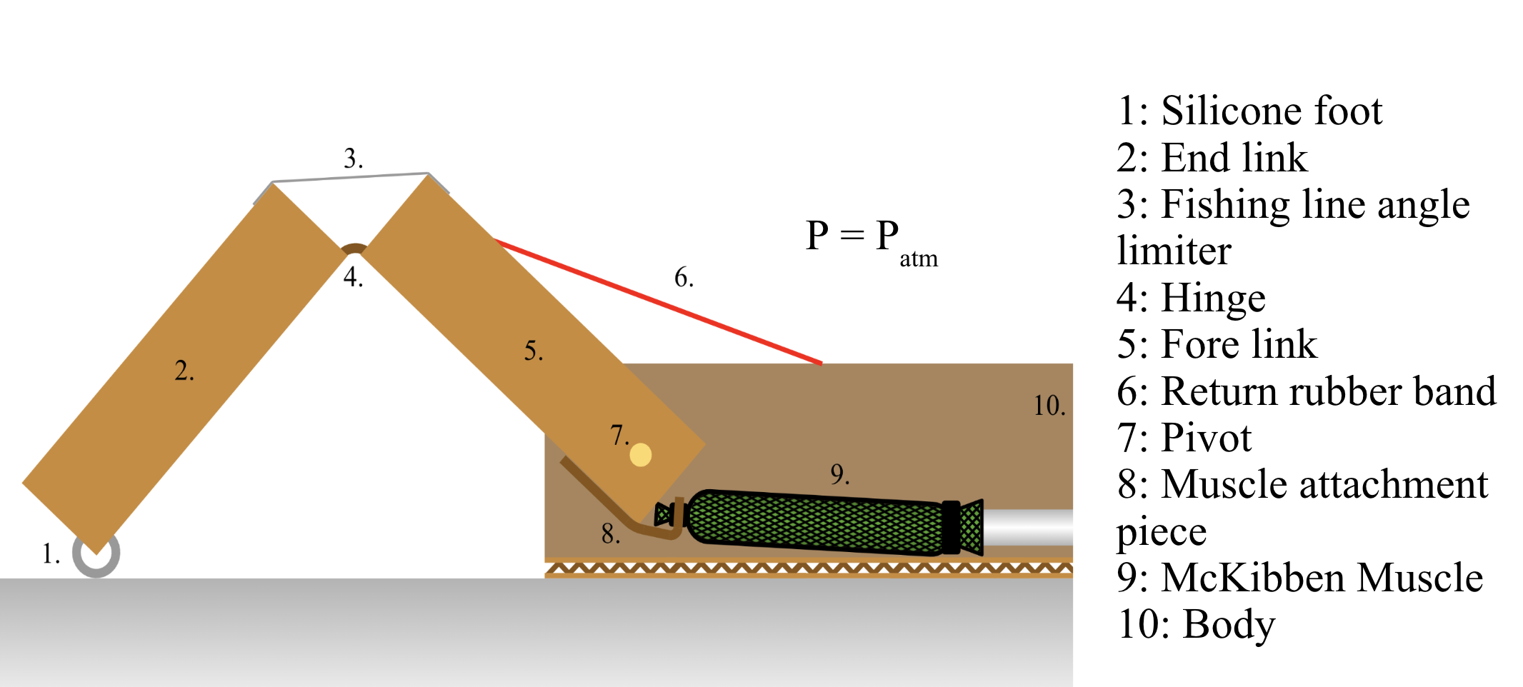 A diagram of a leg mechanism with numbered and labeled parts. The leg consists of 2 linkages and it attached to McKibben muscle that is attached to a base. 