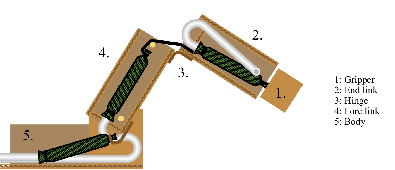 A labeled diagram of the arm mechanism produced. The arm uses 3 muscles, 2 are to control the position of the arm while the last is used to control the gripper of the arm that sits at the end