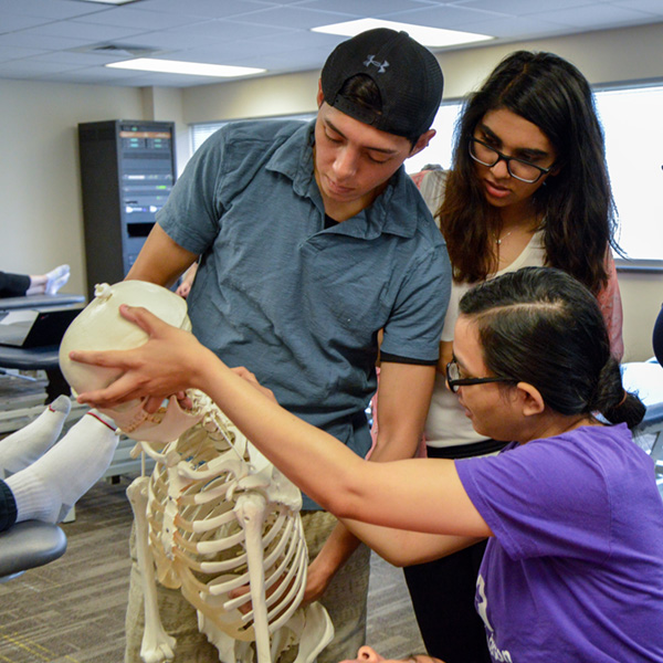 Students examine a human skeleton model during a hands-on classroom learning activity at Rowan University.