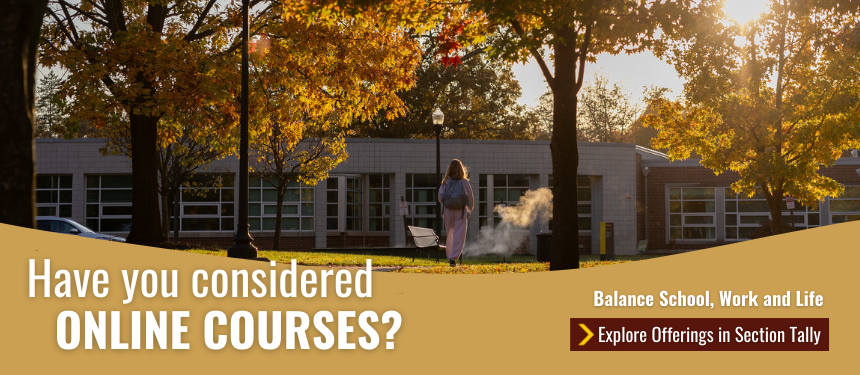 A student walks along a tree‑lined campus pathway in warm autumn light, passing a building with large windows. Overlaid text reads: “Have you considered online courses? Balance school, work, and life. Explore offerings in Section Tally.