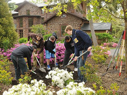 Student volunteers plant shrubs.