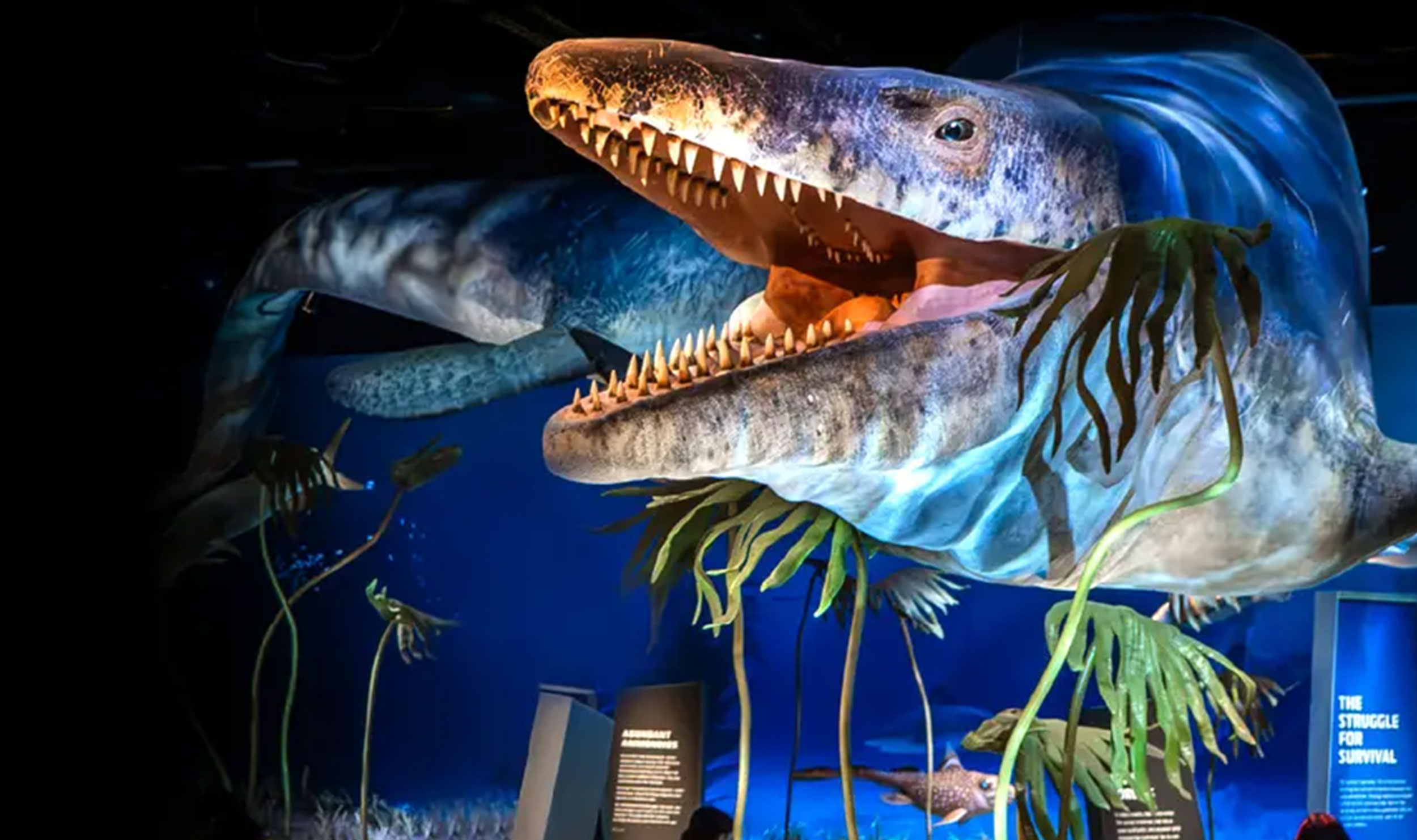 dinosaur head model