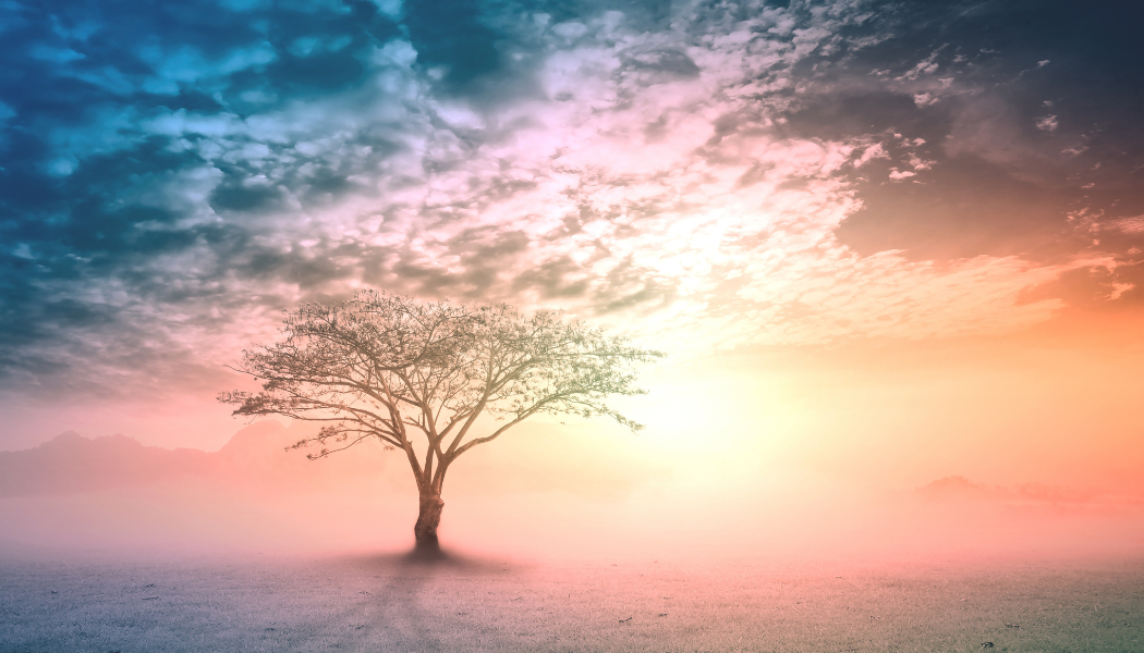 a sunset sky with a tree in the background
