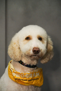 Casey with therapy dogs: Smokey, Bertha, and Chase