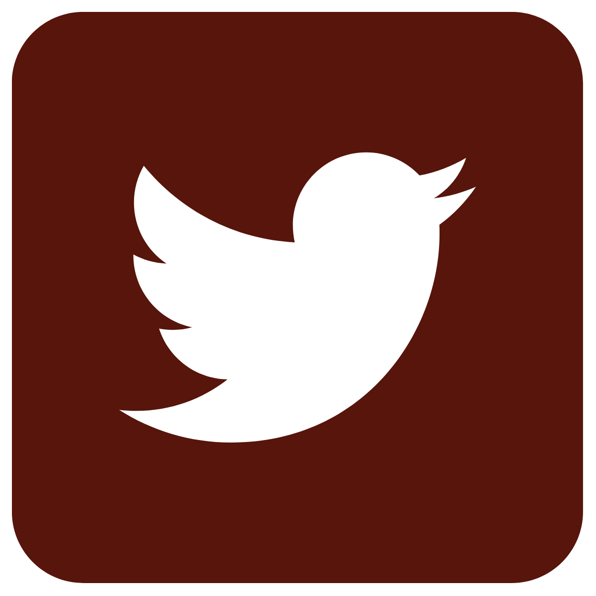 twitter  logo